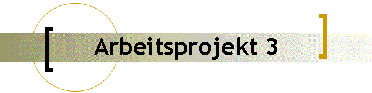 Arbeitsprojekt 3