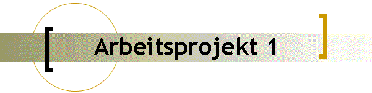 Arbeitsprojekt 1